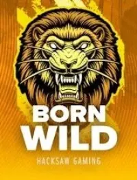 born wild logo
